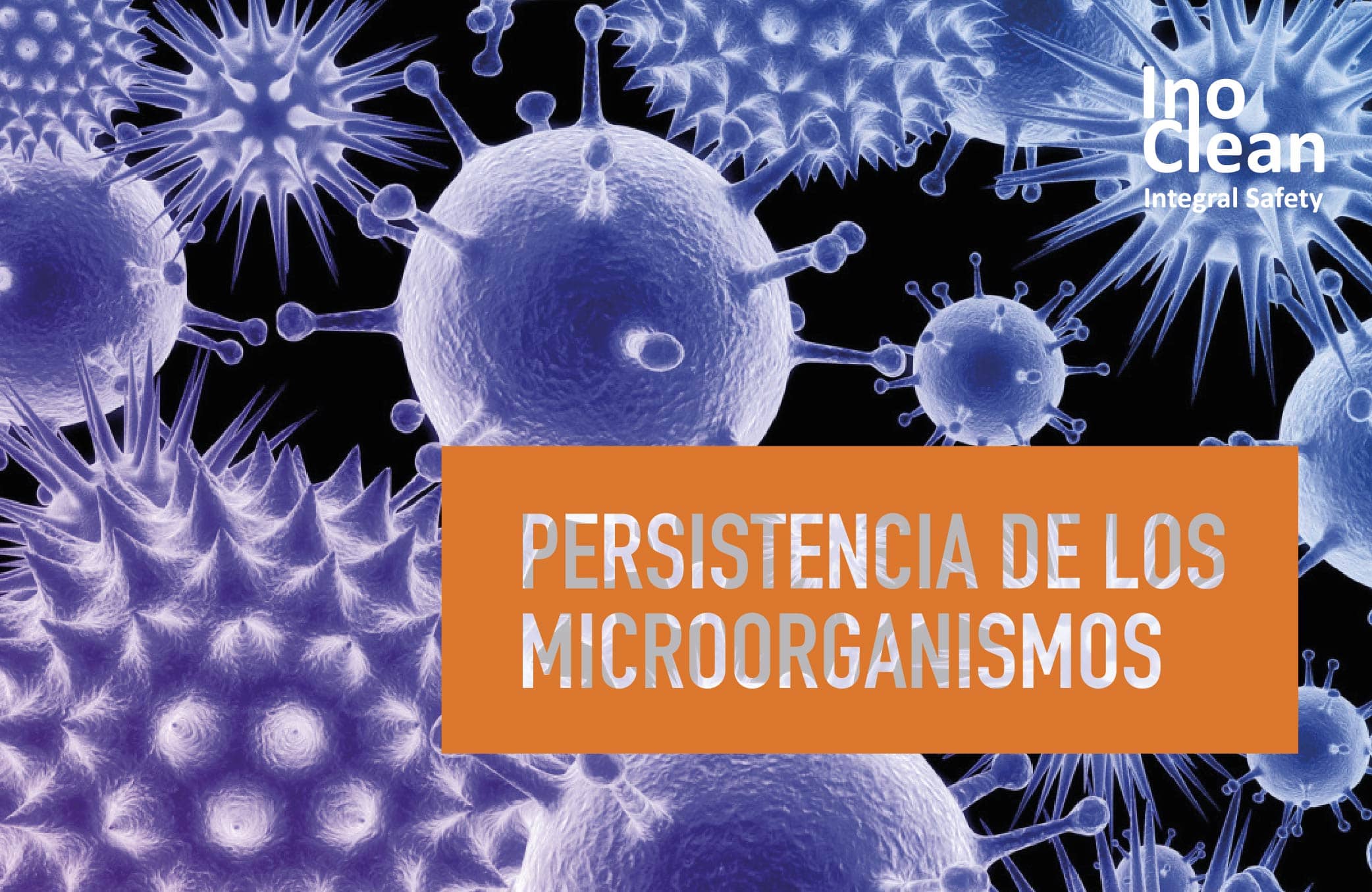 Microorganismos: una visión en detalle del mundo microscópico
